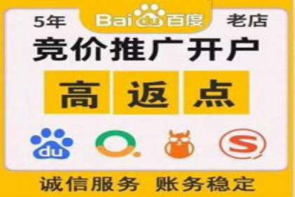 百度SEO推广公司案例分享：行业佼佼者经验